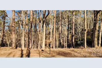 11176 Water Trace Drive, Fort Mill, SC 29708 - Photo 3