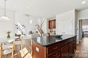 10305 Misty Moss Ct, Mint Hill, NC 28227 - Photo 11