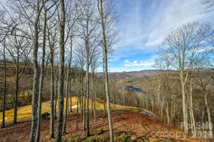 1839 Grandview Dr, Tuckasegee, NC 28783 - Photo 47