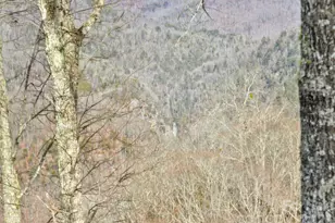1839 Grandview Dr, Tuckasegee, NC 28783 - Photo 23