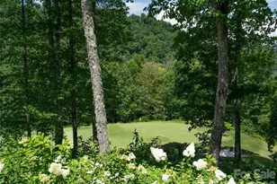 1839 Grandview Dr, Tuckasegee, NC 28783 - Photo 3