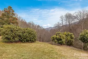 15 Whitted Rd, Canton, NC 28716 - Photo 3