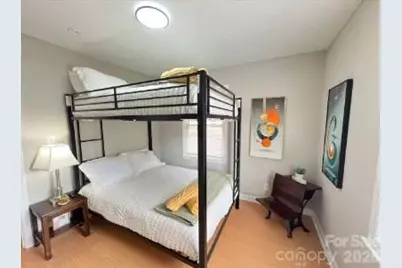 316 Skyland Avenue, Charlotte, NC 28205 - Photo 3