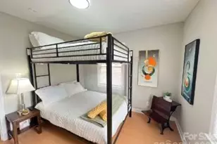 316 Skyland Ave, Charlotte, NC 28205 - Photo 3