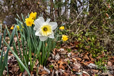 254 Wildwood Terrace, Marion, NC 28752 - Photo 33