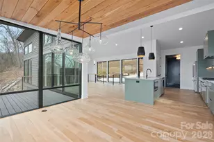 751 New Sprout Ln, Hendersonville, NC 28792 - Photo 17