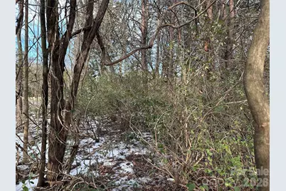 0 Bristol Drive, Statesville, NC 28677 - Photo 37