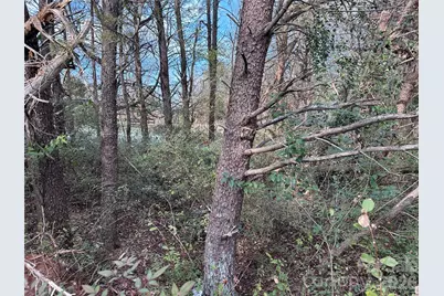 0 Bristol Drive, Statesville, NC 28677 - Photo 41