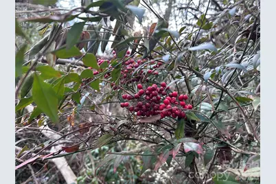 0 Bristol Drive, Statesville, NC 28677 - Photo 43