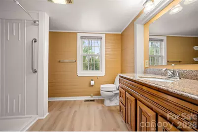 711 Thermal View Drive, Tryon, NC 28782 - Photo 17