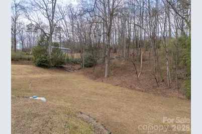 711 Thermal View Drive, Tryon, NC 28782 - Photo 29