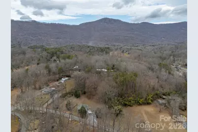 711 Thermal View Drive, Tryon, NC 28782 - Photo 33