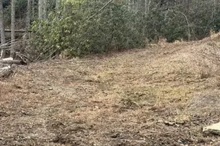 0 Benton Dr, Etowah, NC 28729 - Photo 1