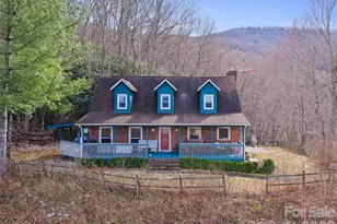 126 Wild Flower Cove Dr, Swannanoa, NC 28778 - Photo 3