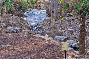 126 Wild Flower Cove Dr, Swannanoa, NC 28778 - Photo 9