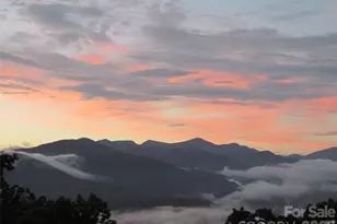 126 Wild Flower Cove Dr, Swannanoa, NC 28778 - Photo 35