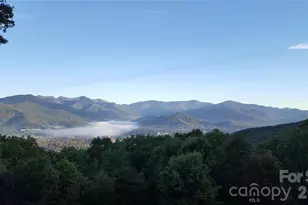 126 Wild Flower Cove Dr, Swannanoa, NC 28778 - Photo 43