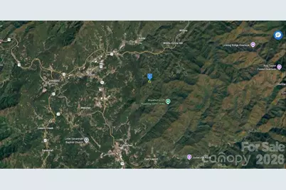 98 Hosta Drive, Sylva, NC 28779 - Photo 3