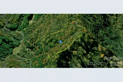 98 Hosta Drive, Sylva, NC 28779 - Photo 5