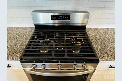 340 Secretariat Drive, Iron Station, NC 28080 - Photo 15