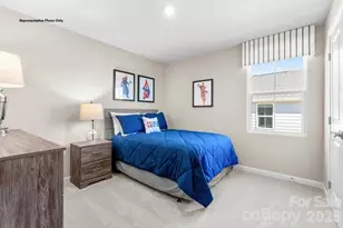 411 Laney Farms Dr, Pageland, SC 29728 - Photo 11