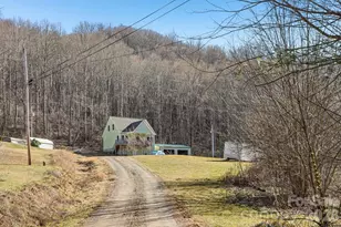 530 Wilson Cove Rd, Canton, NC 28716 - Photo 5