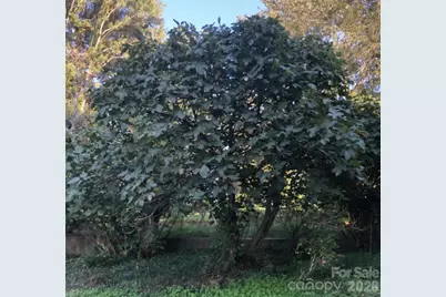 1237 New Crest Lane, Shelby, NC 28150 - Photo 41