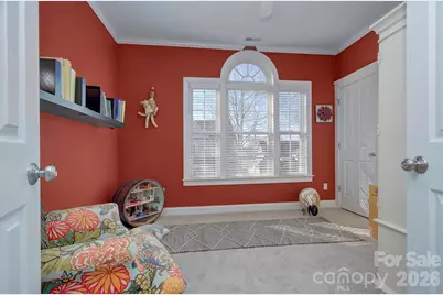 14619 Holly Springs Drive, Huntersville, NC 28078 - Photo 29