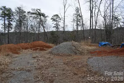 172 Winter Lane, Mill Spring, NC 28756 - Photo 9