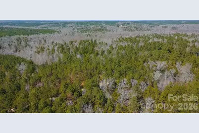 Tbd Old Catholic Church Road, Richburg, SC 29729 - Photo 19