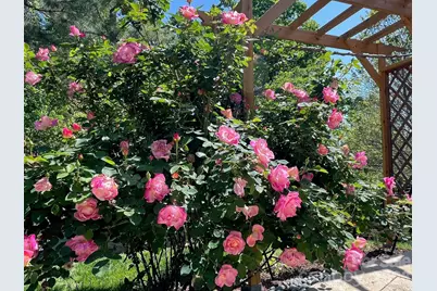 709 Ivy Trail Way, Fort Mill, SC 29715 - Photo 37