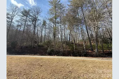 361 Rooster Cove, Brevard, NC 28712 - Photo 5