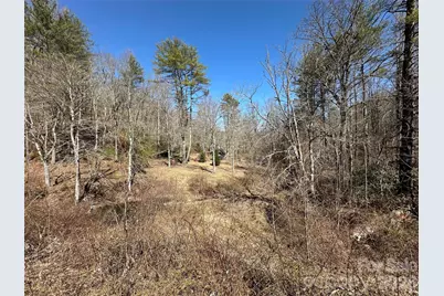 361 Rooster Cove, Brevard, NC 28712 - Photo 23