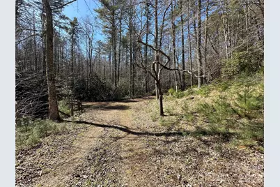 361 Rooster Cove, Brevard, NC 28712 - Photo 25