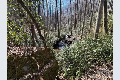 361 Rooster Cove, Brevard, NC 28712 - Photo 11