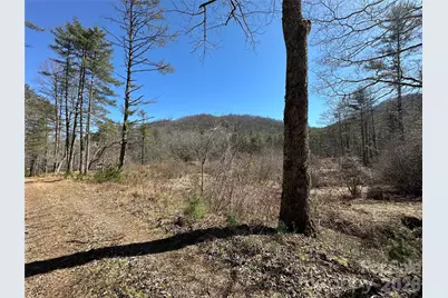 361 Rooster Cove, Brevard, NC 28712 - Photo 27