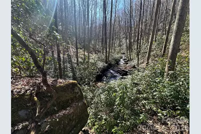 361 Rooster Cove, Brevard, NC 28712 - Photo 13