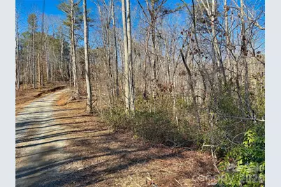 Lots 79 80 100 Westridge Drive, Lake Lure, NC 28746 - Photo 3