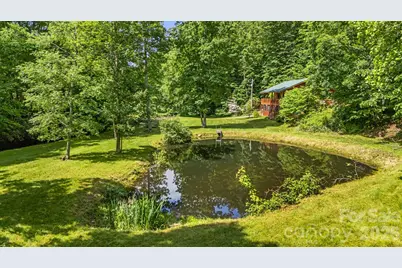 3245 Puncheon Fork Road, Mars Hill, NC 28754 - Photo 7