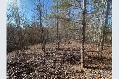 127 Robinwood Trail, Bostic, NC 28018 - Photo 5