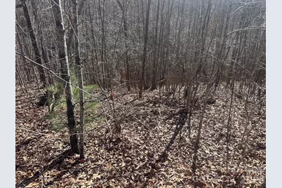 127 Robinwood Trail, Bostic, NC 28018 - Photo 7