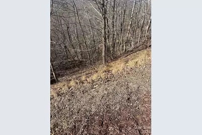 127 Robinwood Trail, Bostic, NC 28018 - Photo 9