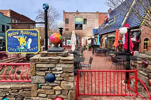 12 S Lexington Ave, Asheville, NC 28801 - Photo 43