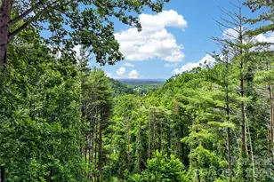 491 S Valley View Dr, Mars Hill, NC 28754 - Photo 27