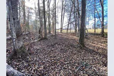 0 US Hwy 64/74A Highway, Rutherfordton, NC 28139 - Photo 3