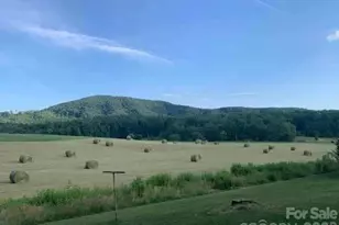 1681 Zion Hill Rd, Marion, NC 28752 - Photo 25