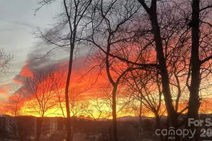 37 Buchanan Pl, Asheville, NC 28801 - Photo 33