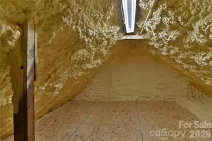 37 Buchanan Pl, Asheville, NC 28801 - Photo 27