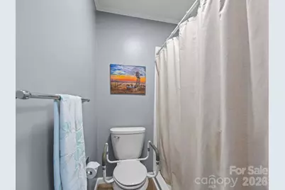 54 Mt Carmel Drive, Asheville, NC 28806 - Photo 33