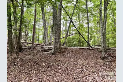 Lot 30 Granny Smith Lane, Lake Lure, NC 28746 - Photo 3